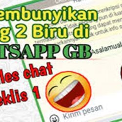 Tips Menyembunyikan Tanda Centang 2 di GB WhatsApp Pejuangtoga.id